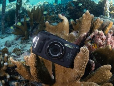 The Best Waterproof Cameras for Capturing the Action in and around the Water