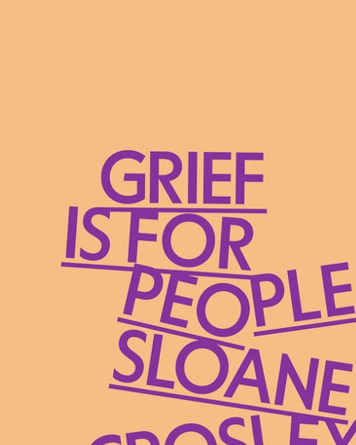 Crosley's new book explores the nature of friendship and the pain of grief (Credit: MacMillan)