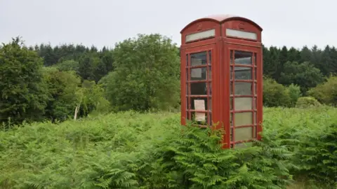 The K6 Project An old red telephone box in the middle of a field of ferns. The greenery has become overgrown and is reaching half way up the phone box to the handle. The Perspex panes are clouded and mouldy. The red paint is chipped and the panel at the top which reads 'Telephone' is barely legible. 