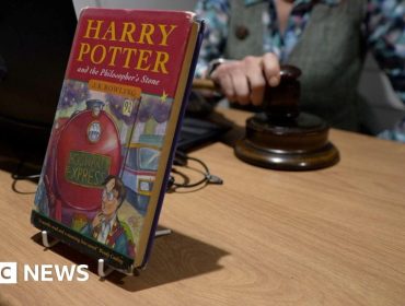 First edition Harry Potter book found in Devon sells for £21,000