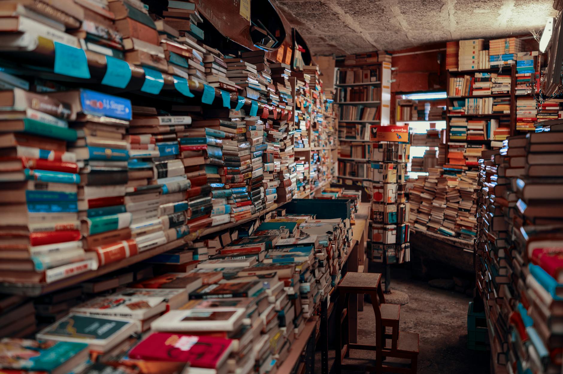 Rows of colorful books displayed on bookstore shelves showing the variety of published fiction