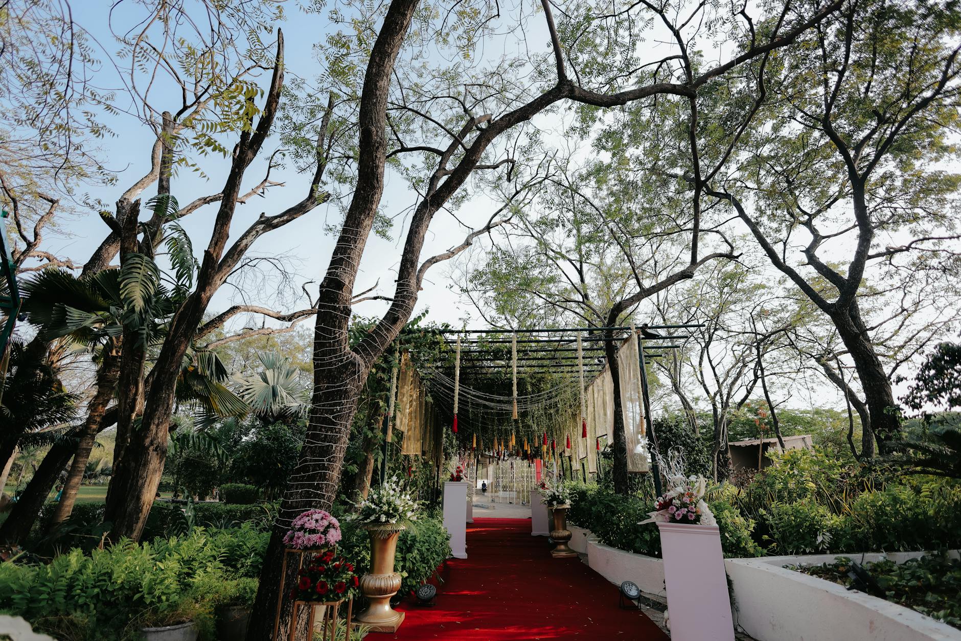 Elegant woman in formal dress at red carpet event with photographers in background
