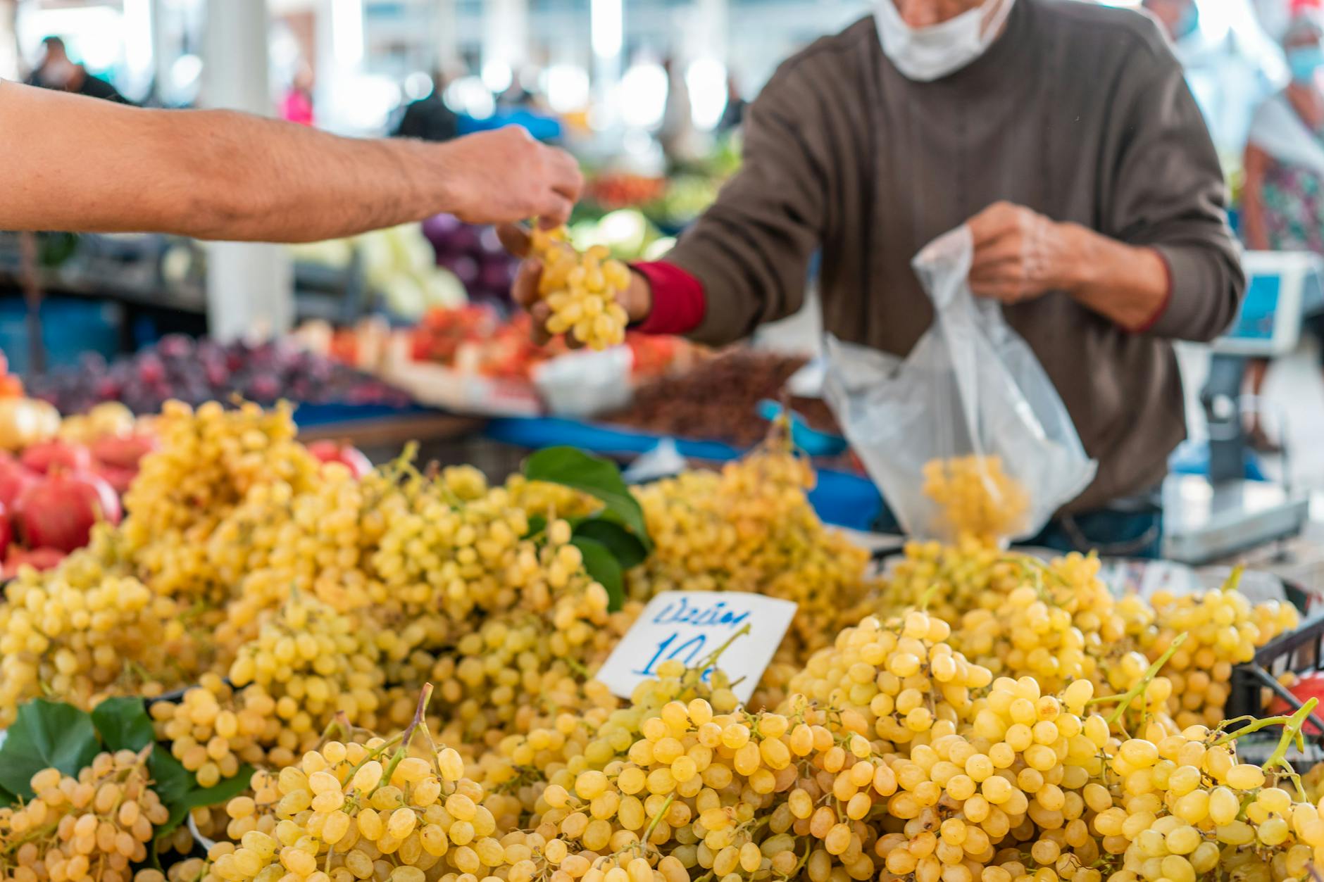 Fresh vegetables and produce displayed at a local farmers market stand