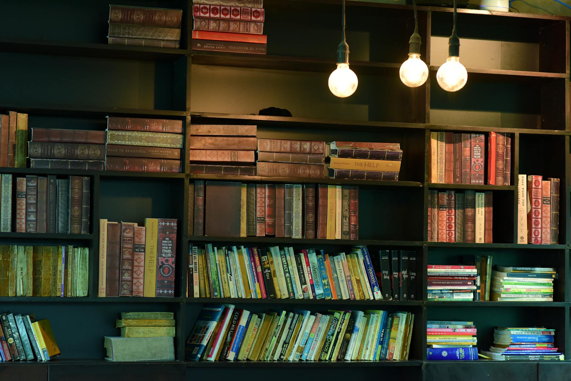 Modern bookshelf with organized books representing traditional and digital publishing