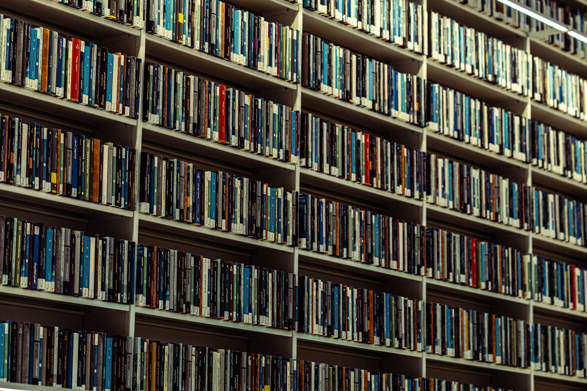 Rows of books on wooden library shelves with warm lighting