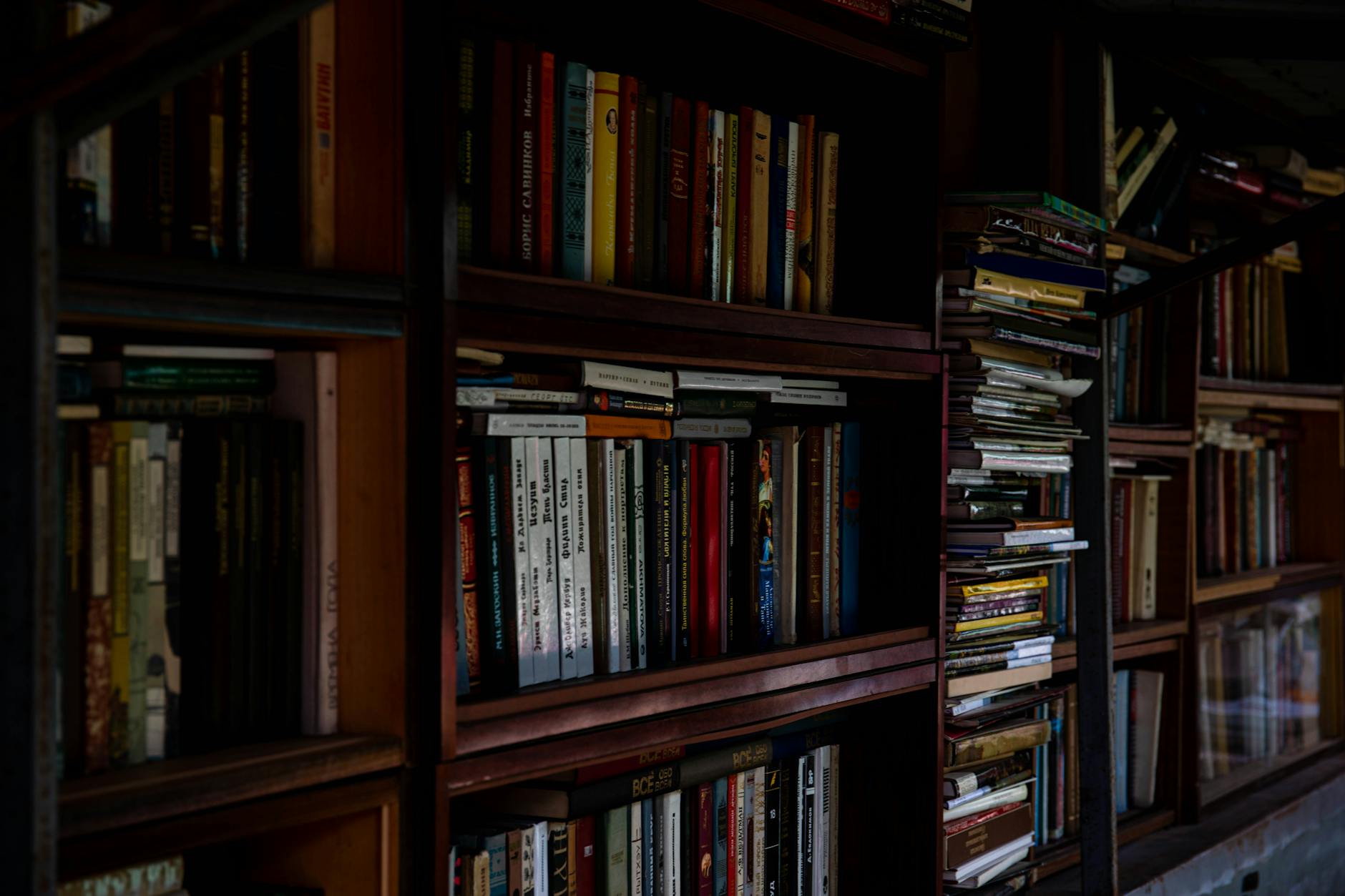 Bookshelf filled with mystery and crime novels in library setting