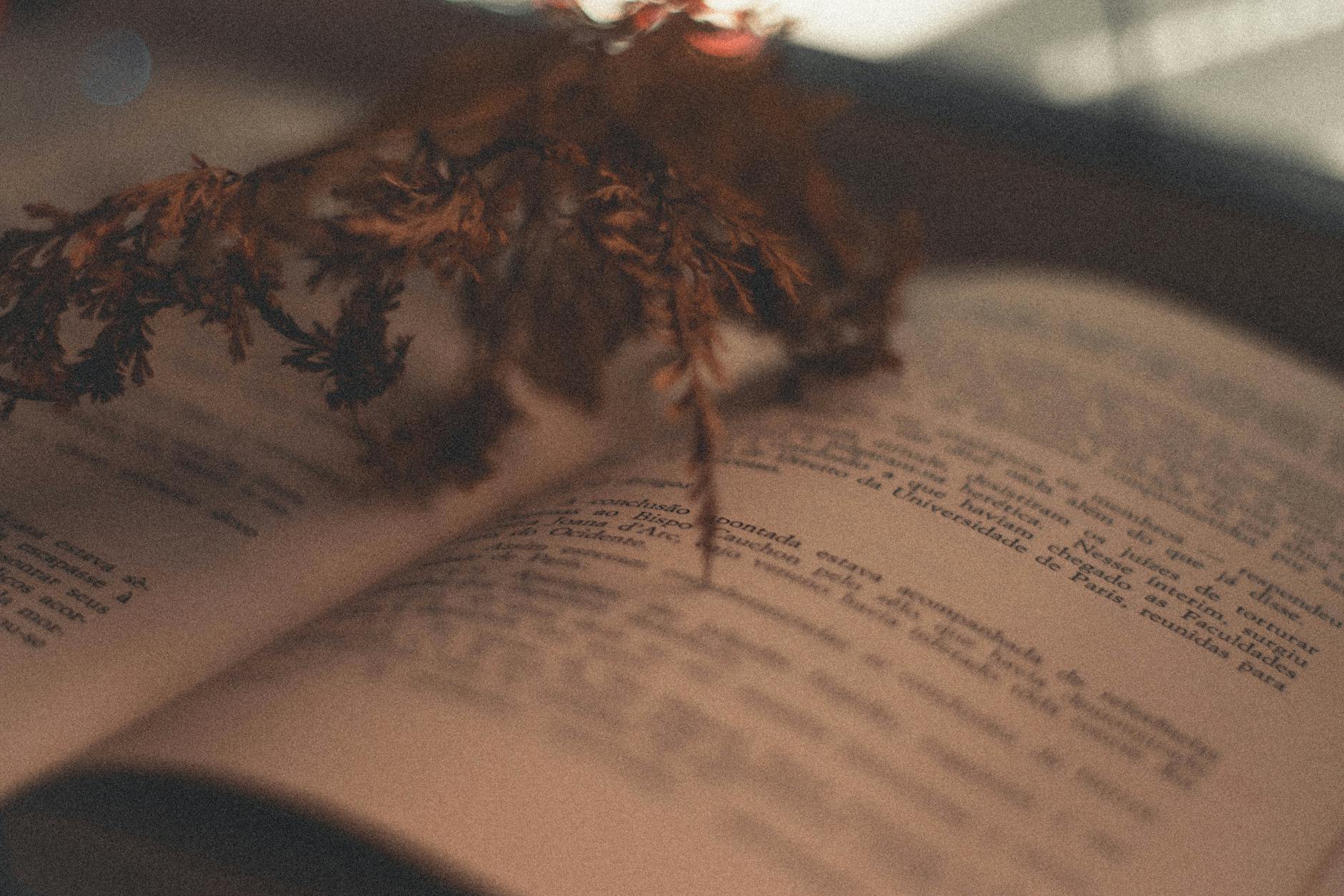 Person reading poetry at literary event with audience