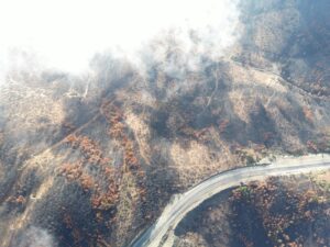 Aerial view of wildfire smoke rising over forested landscape