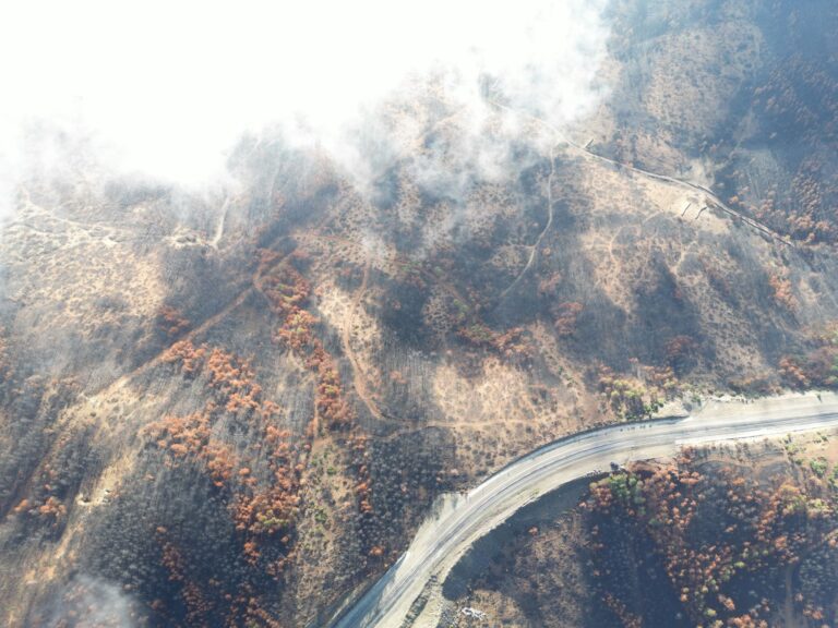 Copernicus Browser Adds Wildfire Layer to Free Satellite Tool Aerial view of wildfire smoke rising over forested landscape
