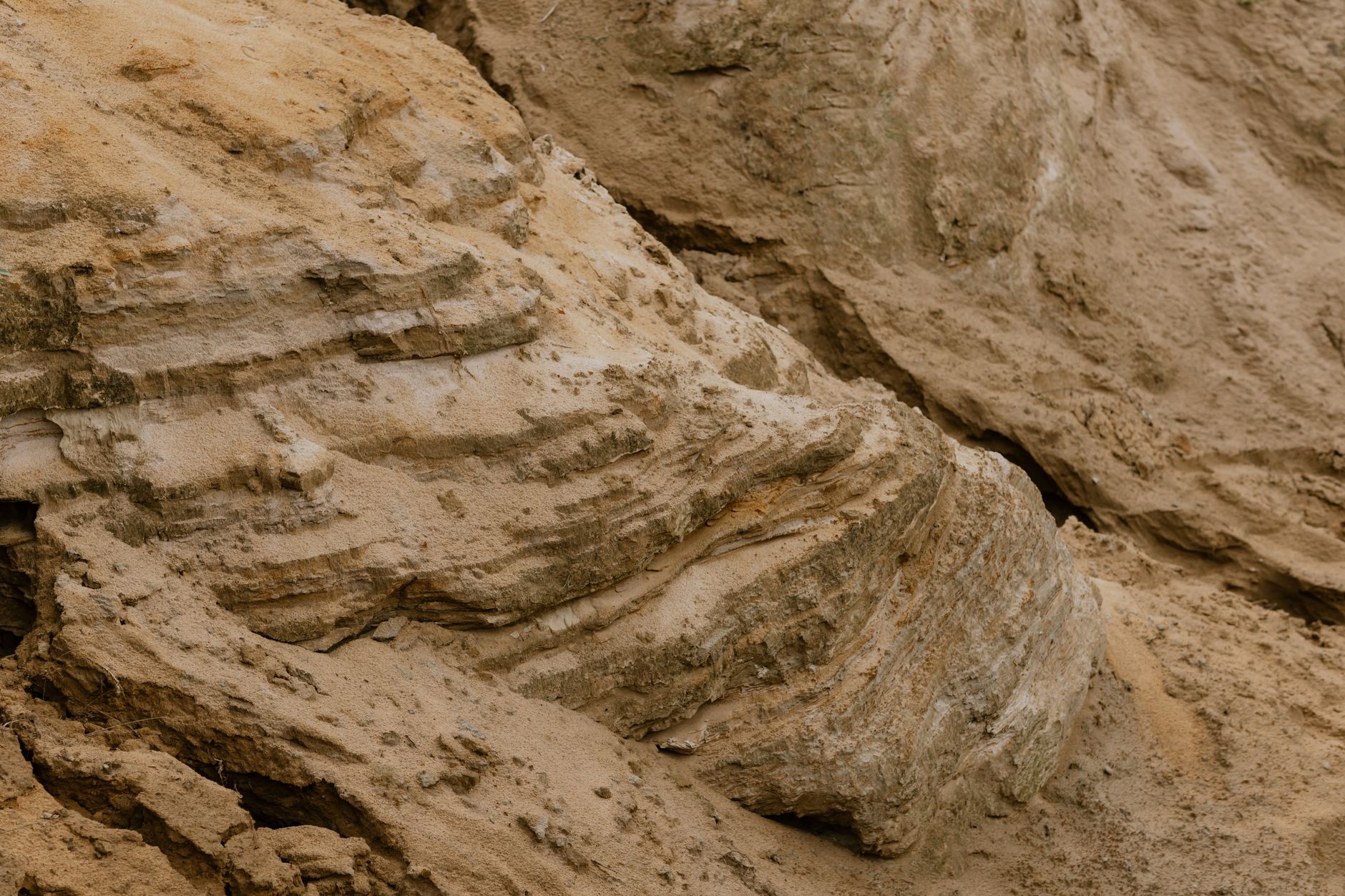 Researchers examining layered sediment core samples extracted from a lake bed