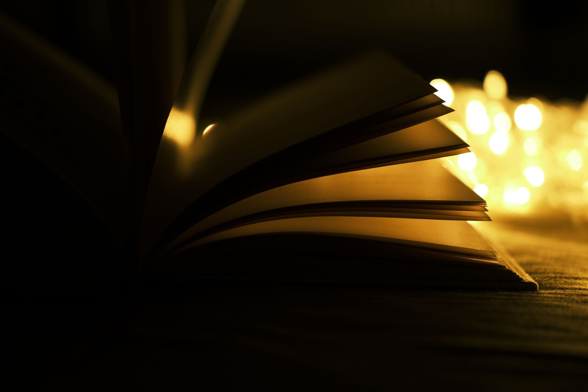A single open book resting in soft natural light, suggesting close reading and literary attention