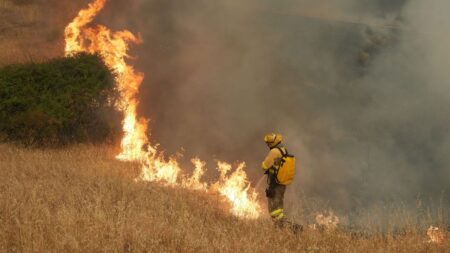 Why Is Europe Burning? Dense wildfire smoke rising over a dry European hillside landscape