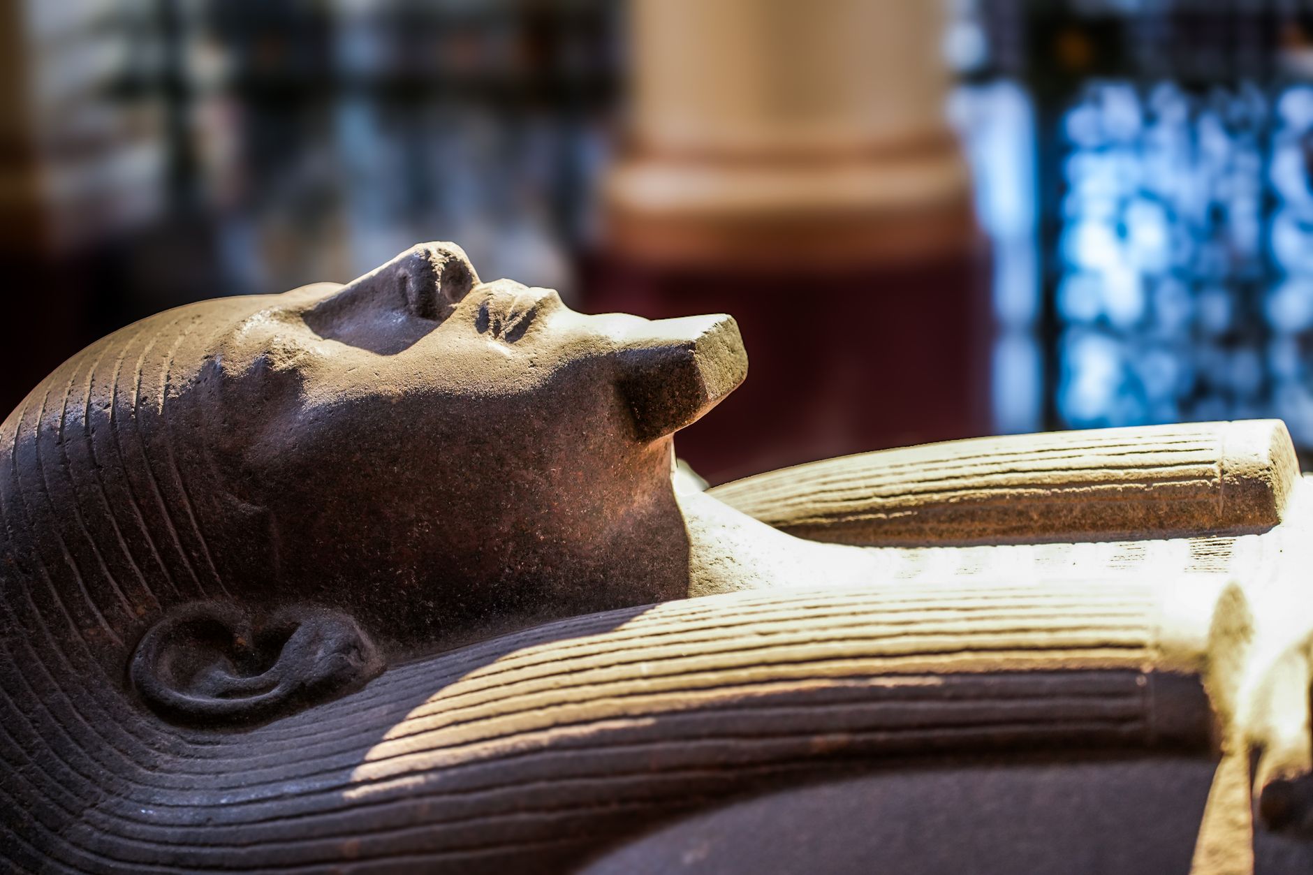 A dimly lit museum display case containing ancient Egyptian artifacts and stone fragments
