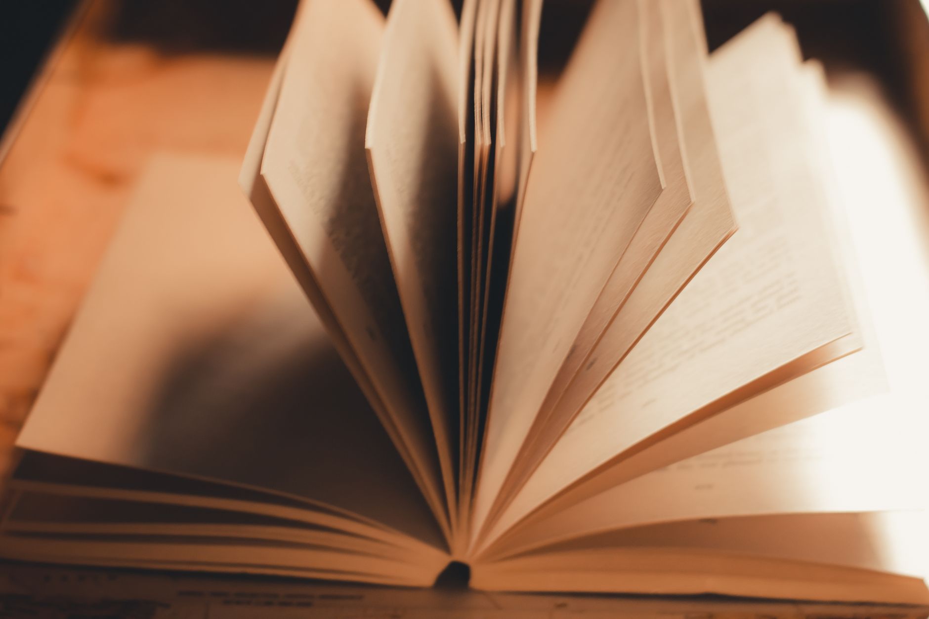 A person reading an open book with soft natural light
