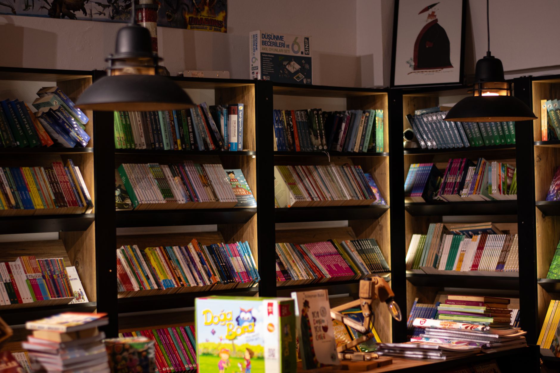 Rows of books on wooden bookstore shelves under warm lighting