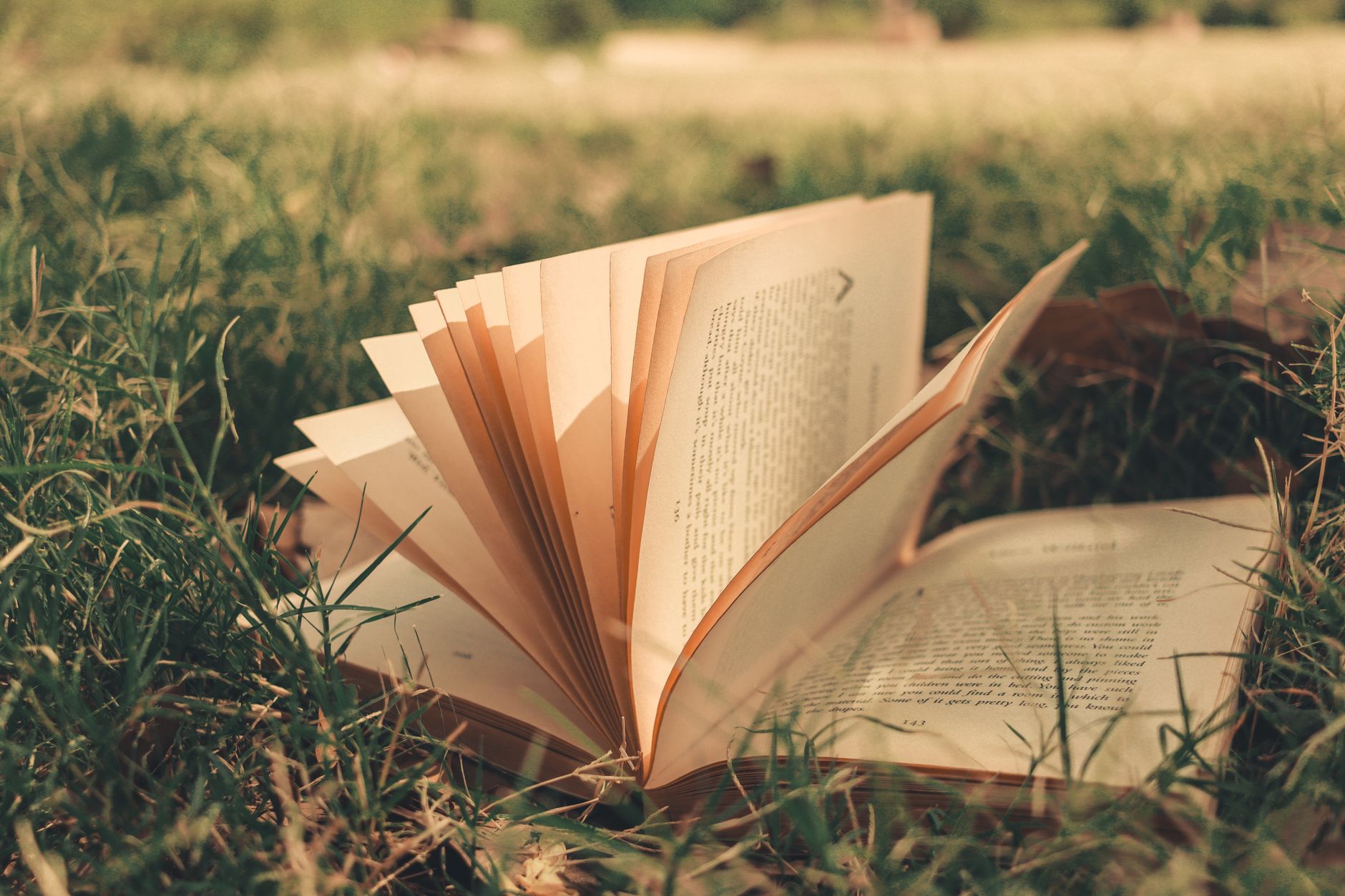Person reading an open book with soft natural light, representing memoir and storytelling