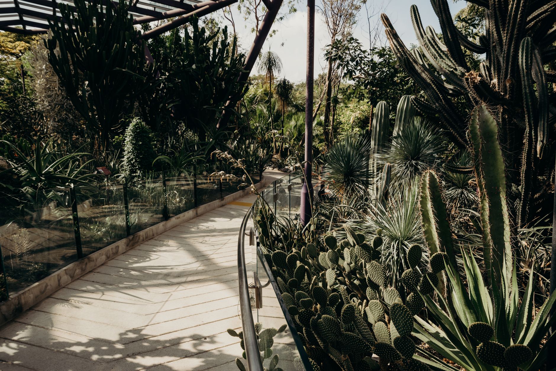 Lush garden walkway with dense foliage and natural symmetry on either side