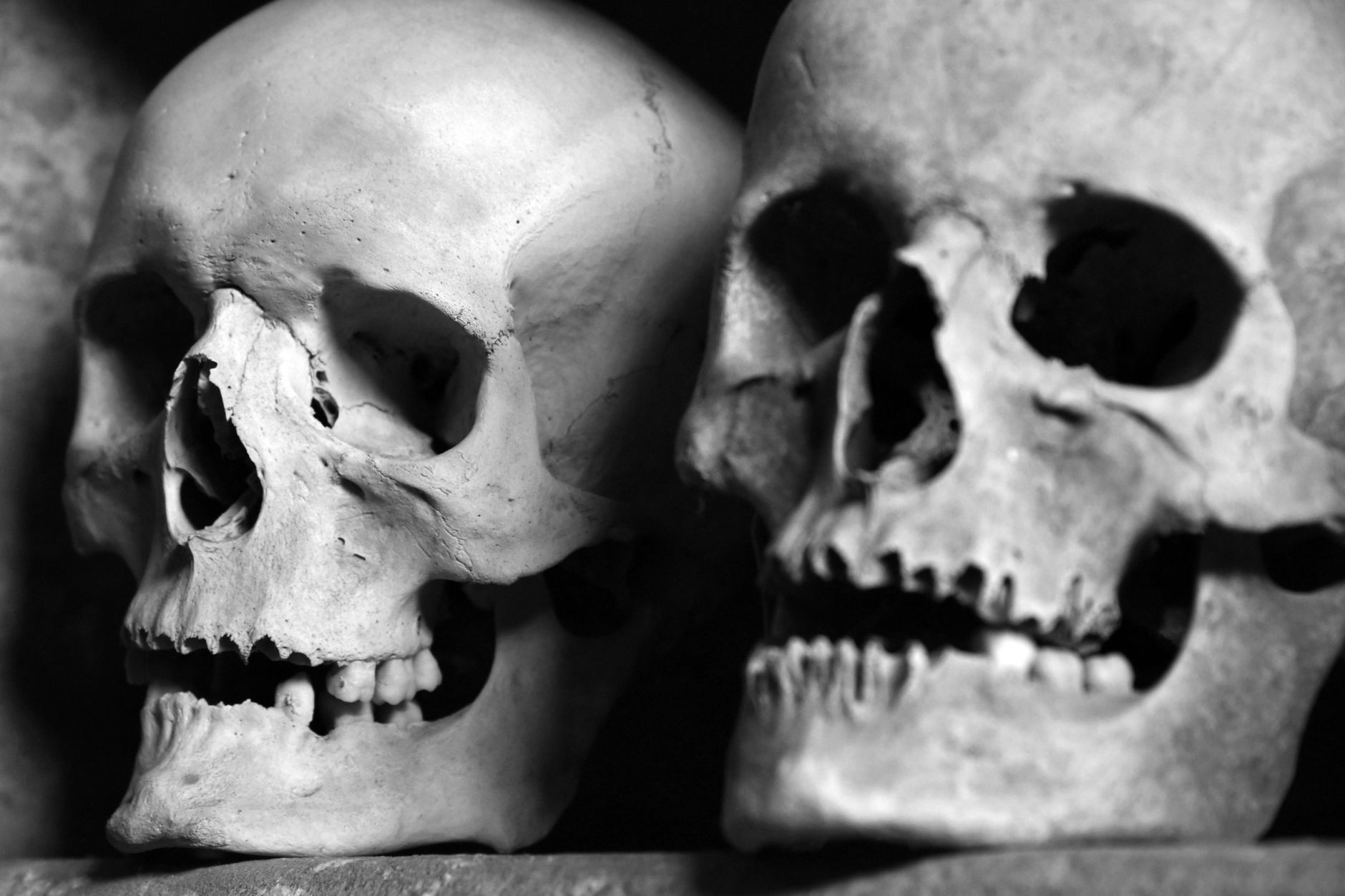 Ancient human skull resting on an archaeological excavation surface