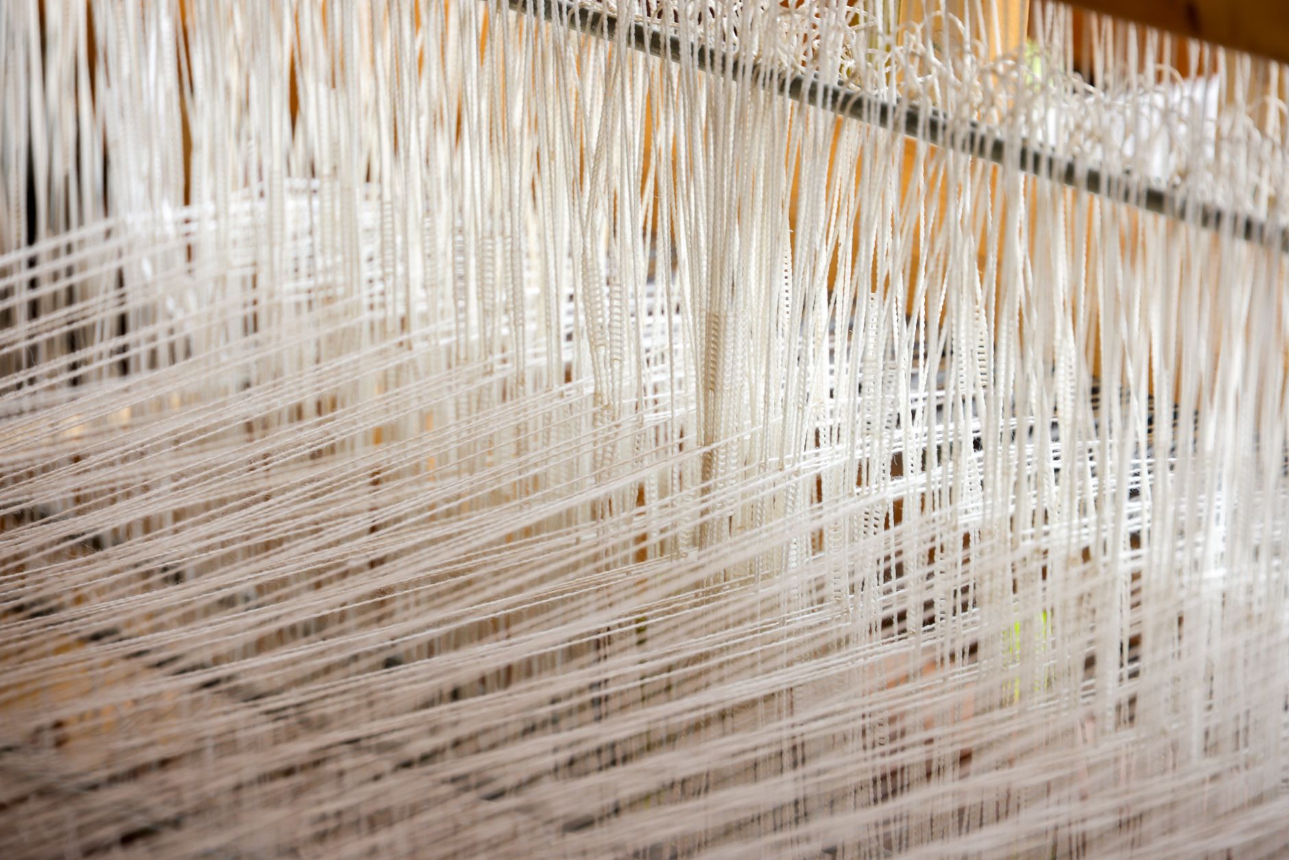 Industrial shuttle loom weaving narrow denim fabric in a textile mill