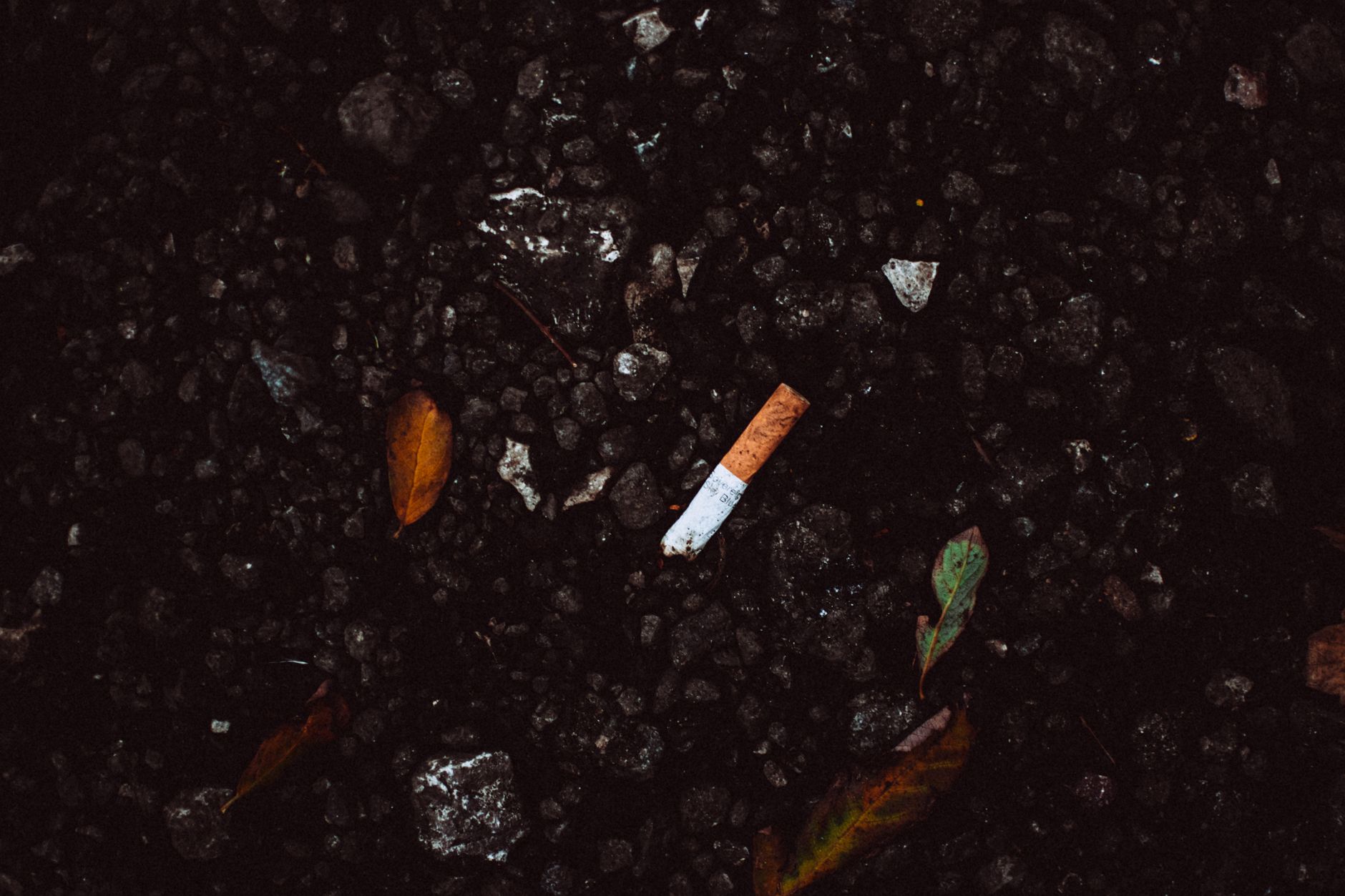 Visualization of debris and satellites surrounding Earth in low orbit