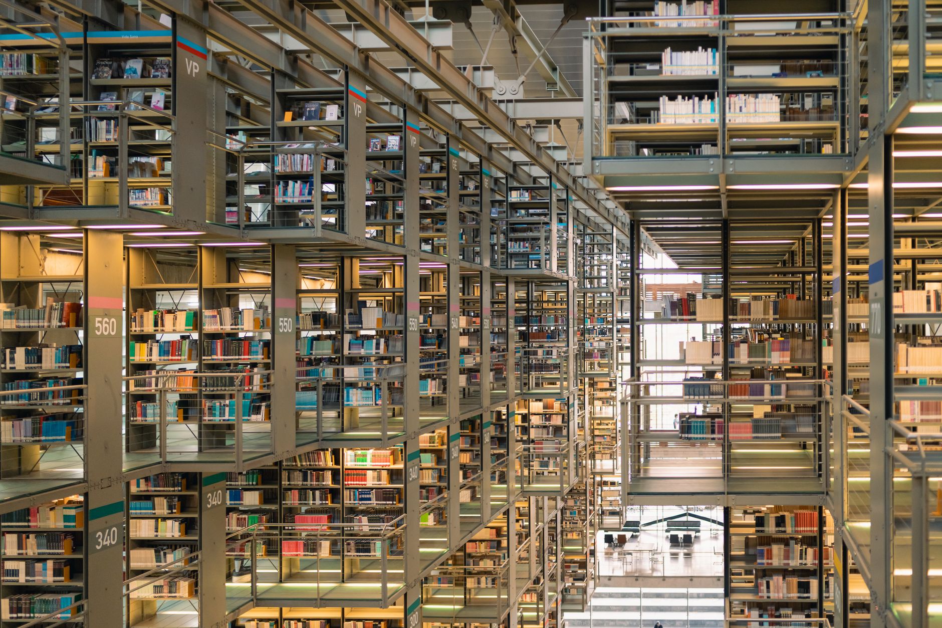 Tall wooden bookshelves filled with books in a quiet library