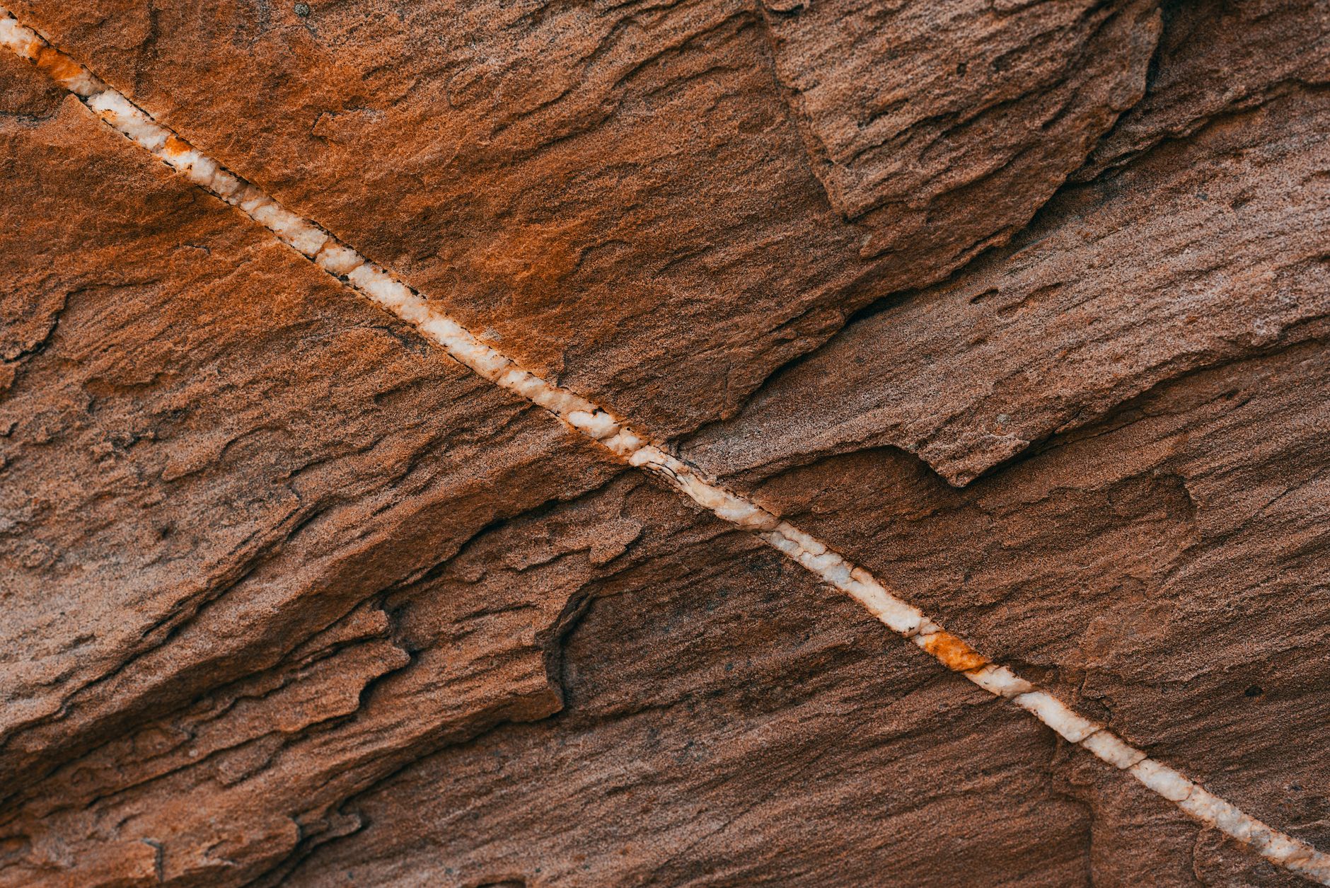 Cylindrical rock core samples extracted from a geological drilling operation laid out for analysis